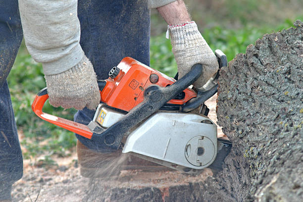 Leaf Removal in Westfield, NJ